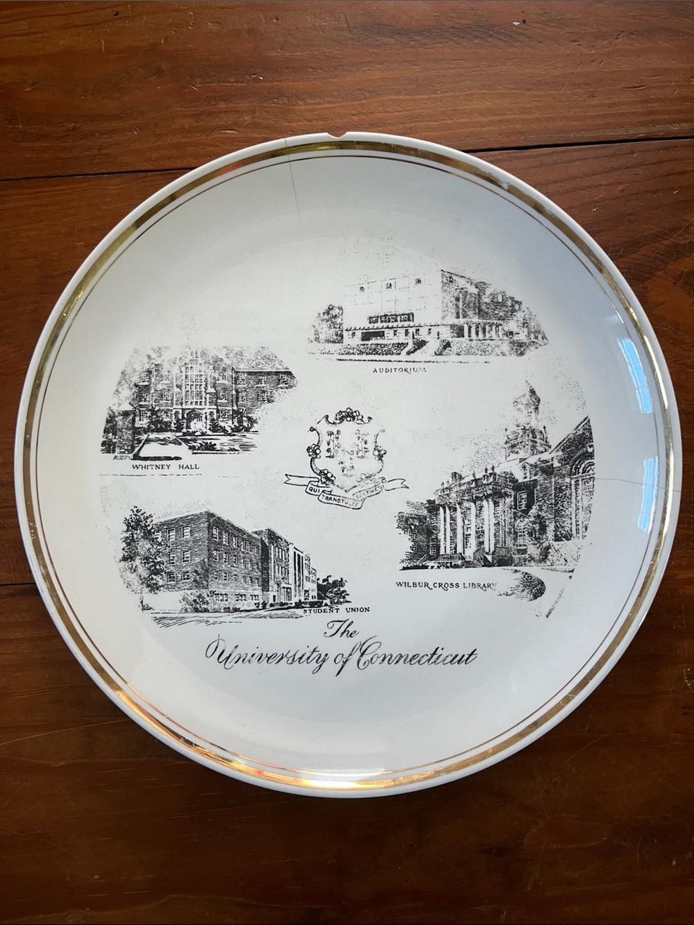 University of Connecticut Decorative White and Gold Collector Plate